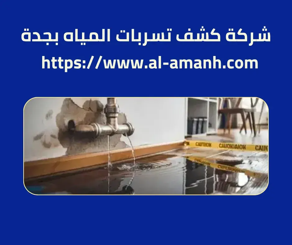 شركة كشف تسربات المياه بجدة