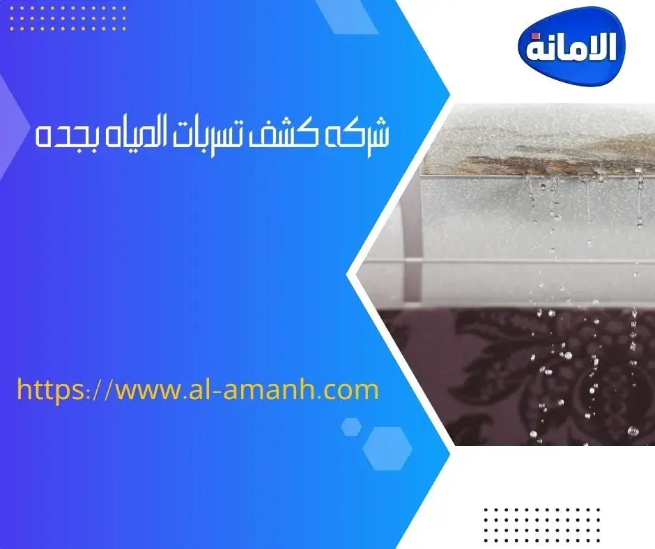 شركه كشف تسربات المياه بجده