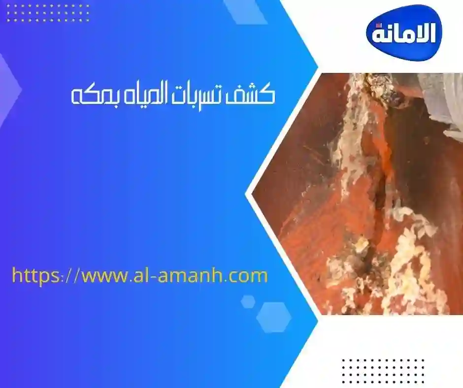 شركه كشف تسربات المياه في جده ارخص شركة كشف تسربات المياه بجدة