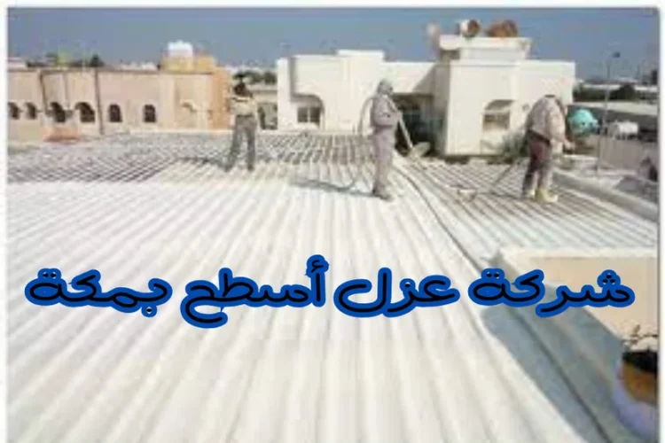 شركة عزل اسطح بمكة