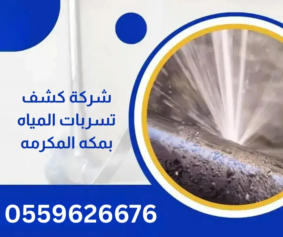 شركة كشف تسربات المياه بمكه المكرمه1