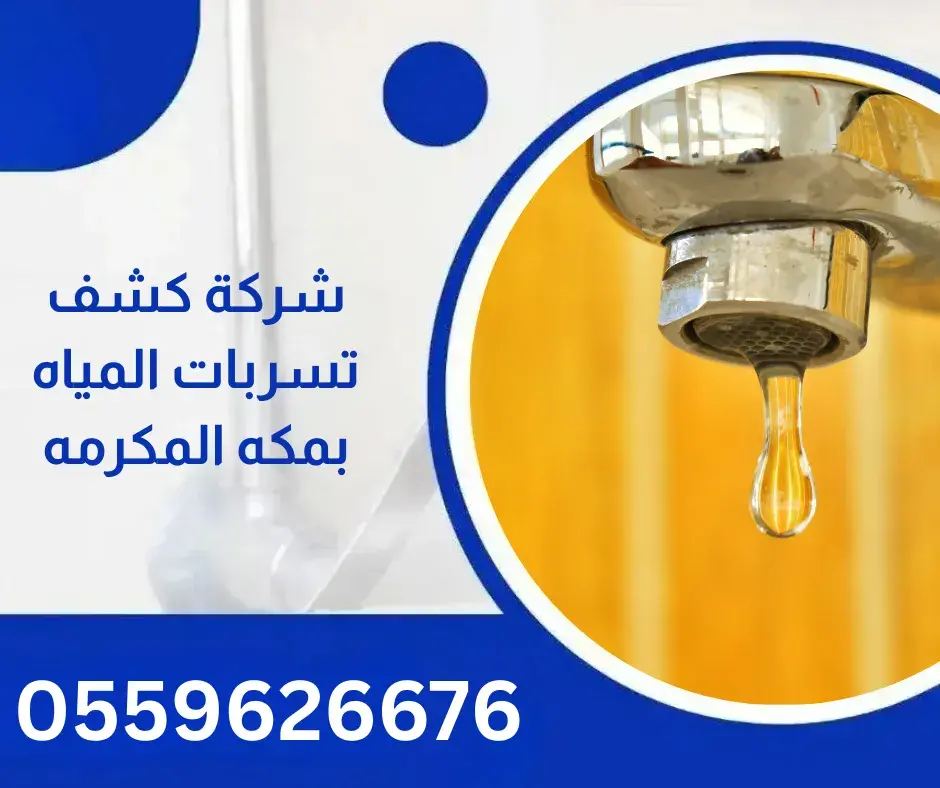 شركة كشف تسربات المياه بمكه المكرمه1