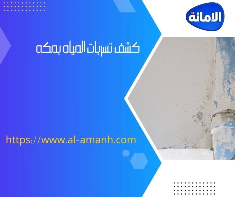 شركه كشف تسربات المياه في جده