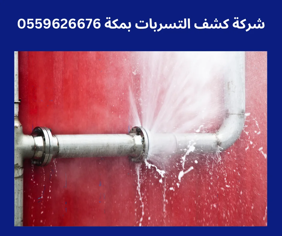 شركه كشف تسربات المياه في جده