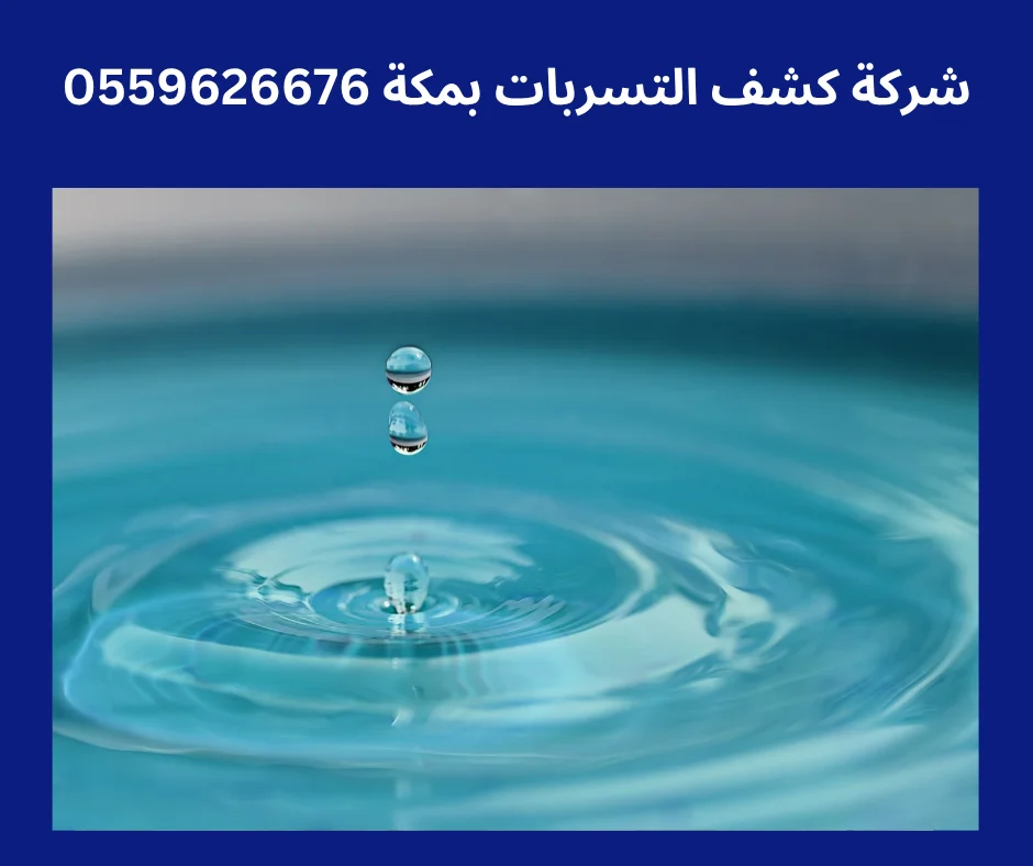 شركه كشف تسربات المياه في جده أفضل شركة كشف تسربات بمكة