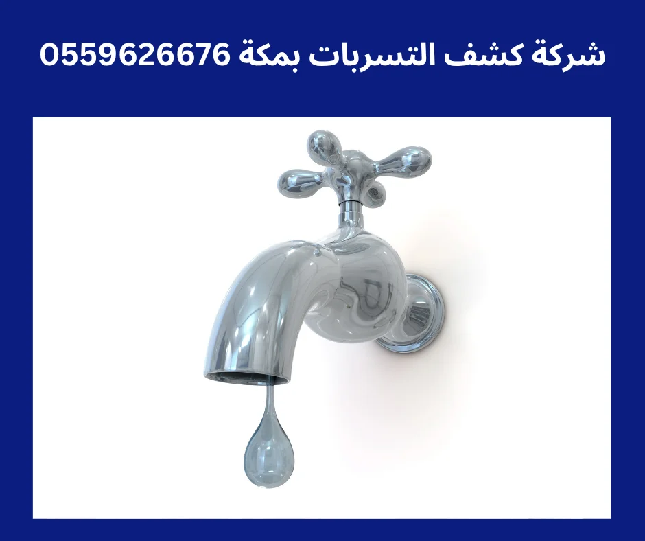 شركه كشف تسربات المياه في جده أفضل شركة كشف تسربات بمكة