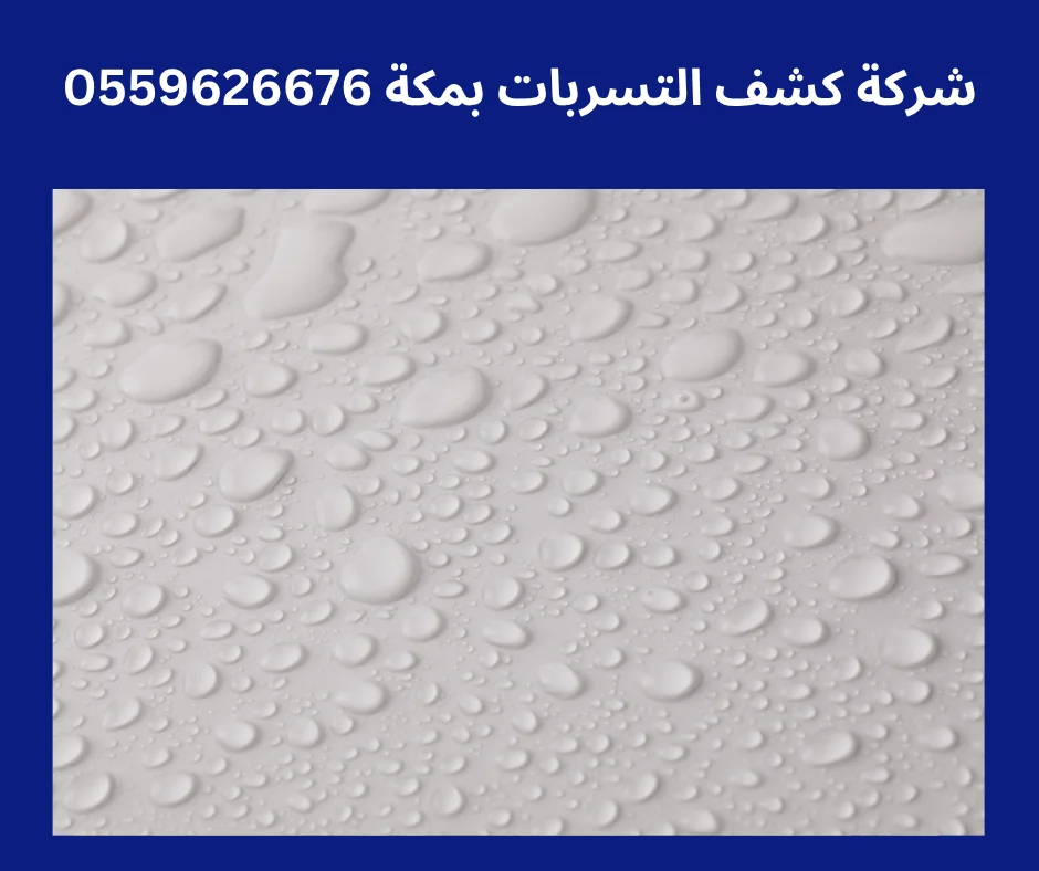 شركه كشف تسربات المياه في جده