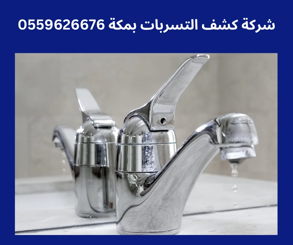 شركه كشف تسربات المياه في جده أفضل شركة كشف تسربات بمكة