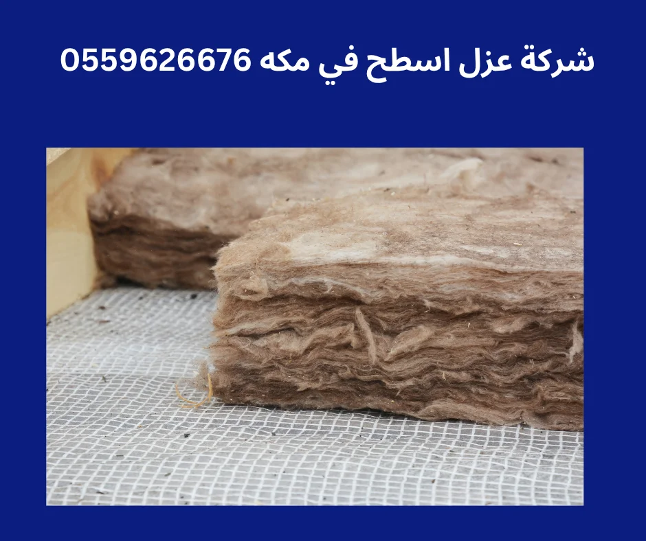 شركه كشف تسربات المياه في جده