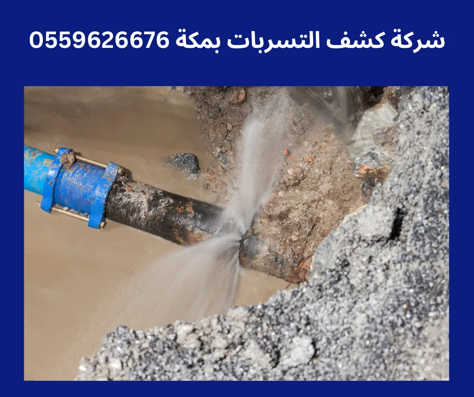 شركات كشف تسربات المياه المعتمدة من شركة المياه بمكة