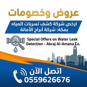 لماذا تختار ارخص شركة كشف تسربات المياه بمكة؟