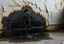 شركه كشف تسربات في جده