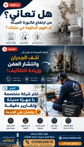شركة كشف تسربات المياه بالطائف